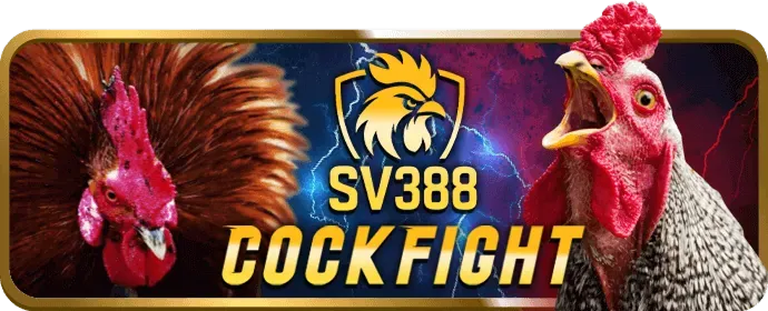 Hoàn trả cực cao mỗi ngày tại 79bet code